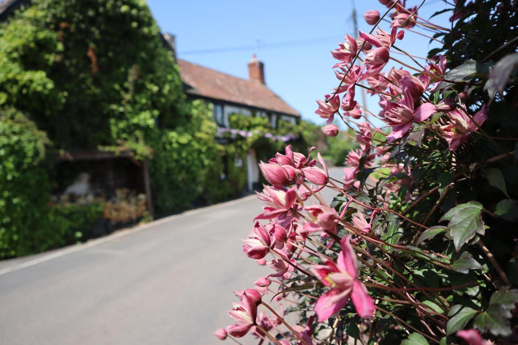 The White Horse Inn Washford Eksteriør bilde
