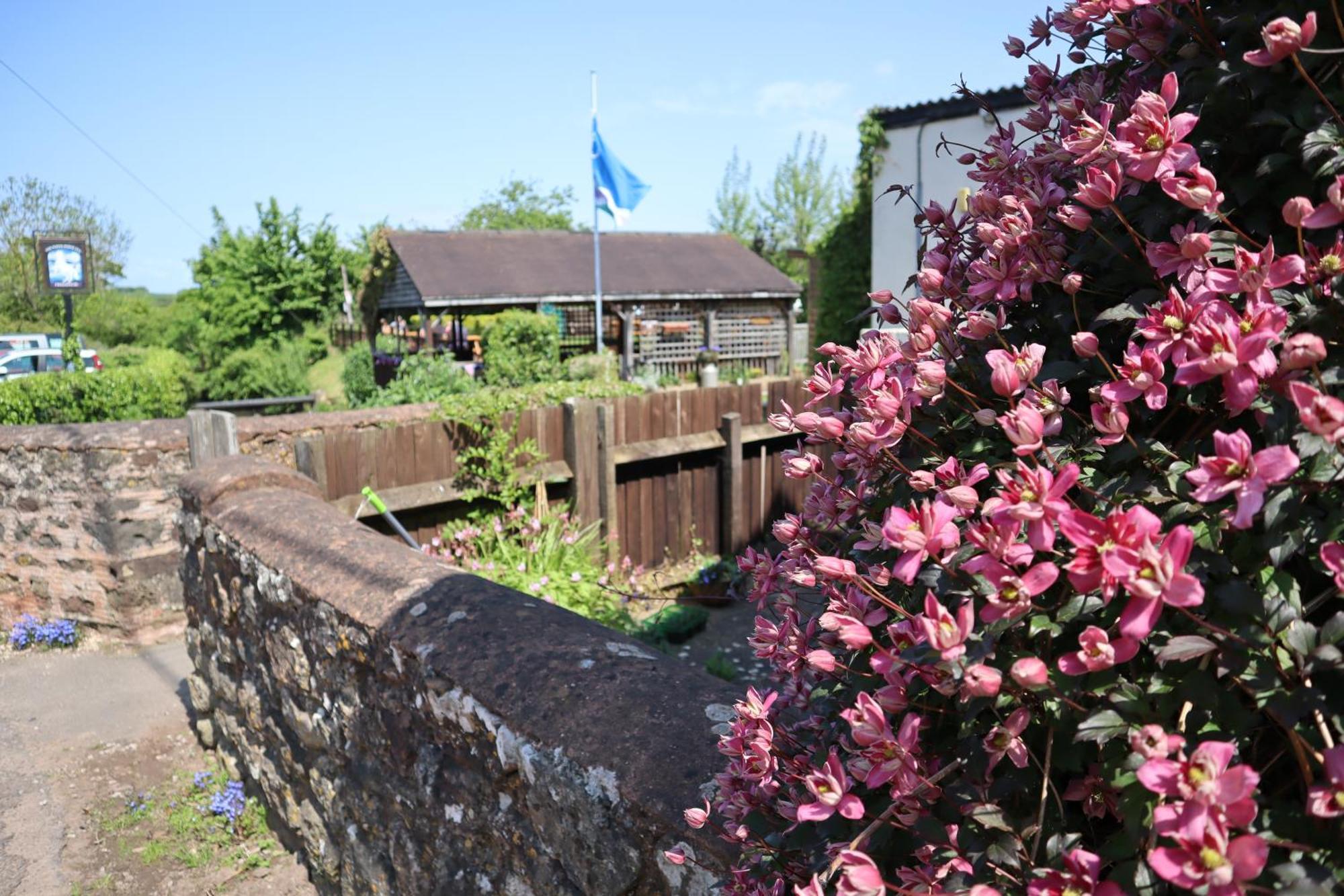 The White Horse Inn Washford Eksteriør bilde